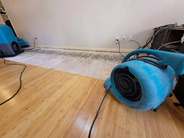 Professional Sewage Cleanup technician working in Greer, AZ